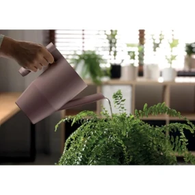 Green Pine IBIS pro děti