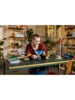 LEGO Ideas 21342 Sbírka hmyzu