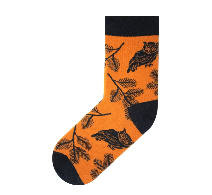 Obrázkové ponožky Funny  model 18924573 - Skarpol