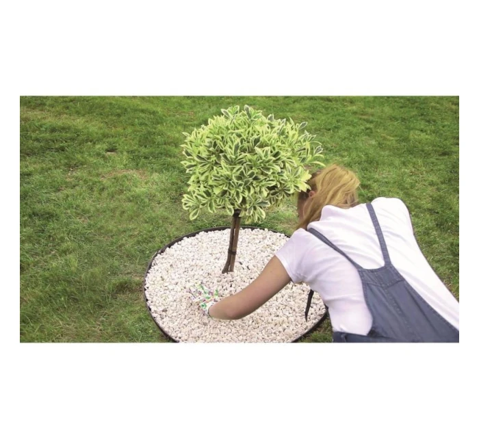 BORDER FLEX BLACK RIDGE