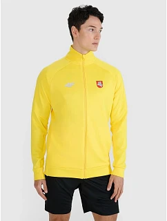 Pánská tréninková mikina s kapucí model 22117526 pánské - 4F