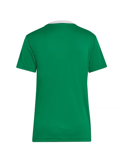 Dámský dres Entrada 22 Jersey W model 17104941 - ADIDAS