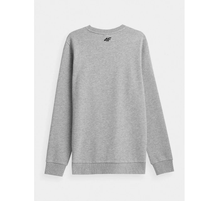 Pánská bavlněná mikina 4F