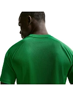 NIke Dri-Fit Park VIII pánské tričko zelené HV8173 302 pánské