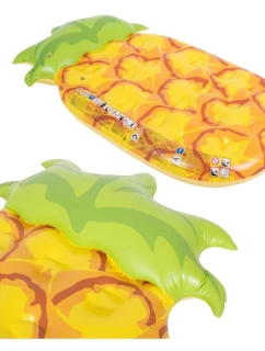 FLUSHABLE MATERATE ANANAS 170x92x30CM 33180