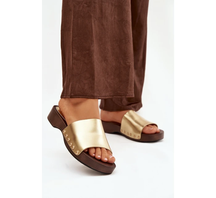 Dámské žabky se zlatými sponkami Terissa