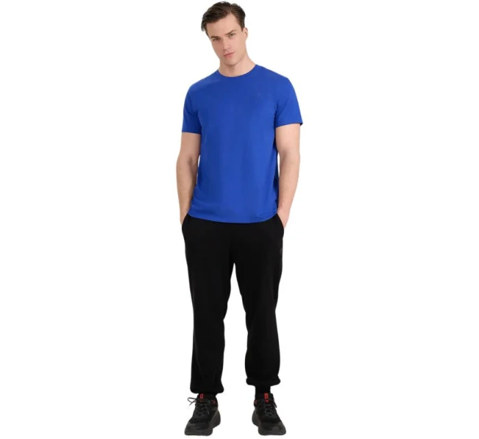 Pánské tričko  cobalt WAW25TTSH 36S pánské model 21391822 - 4F