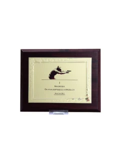 Plastový diplom s vyrytou kovovou destičkou