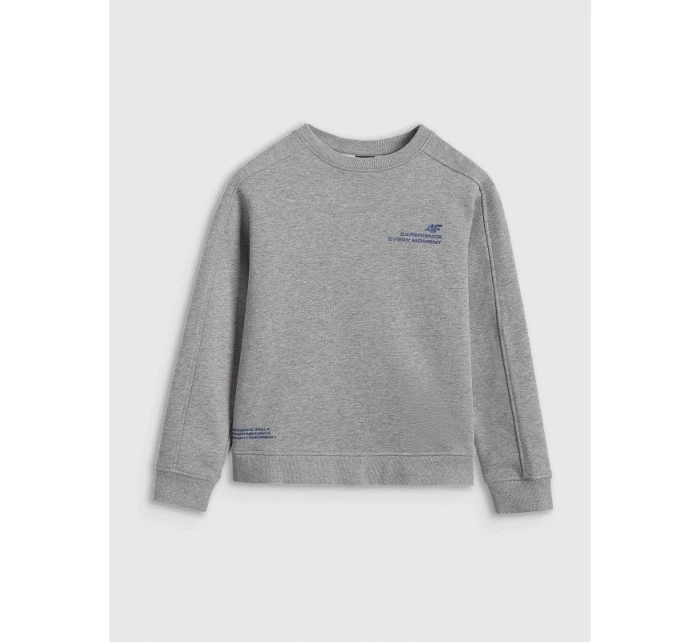 Mikina 4F JUNIOR 4FJRAW25TSWSM2413-25M