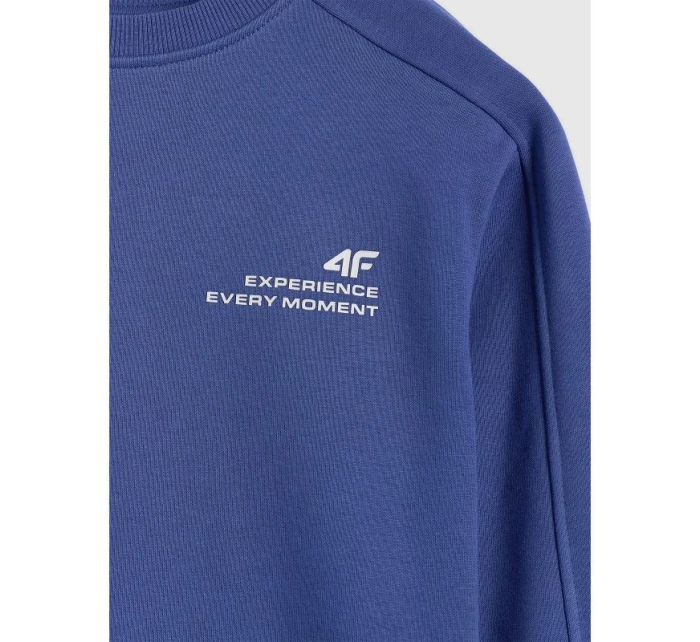 Chlapecká mikina bez kapuce model 21730479 - 4F Chlapecká mikina bez kapuce model 21730479 - 4F