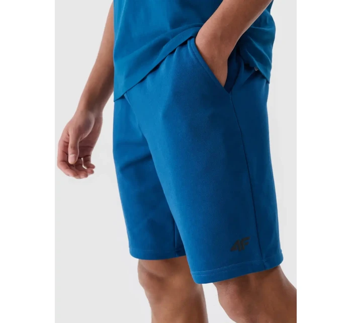 Pánské kraťasy 4F Pánské kraťasy 4F