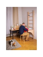 DŘEVĚNÝ ŽEBŘÍK S LAVIČKOU 112