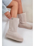 Vysoké Sněhule Na Platformě Big Star model 21679168 Světle Béžové - Big Star Shoes