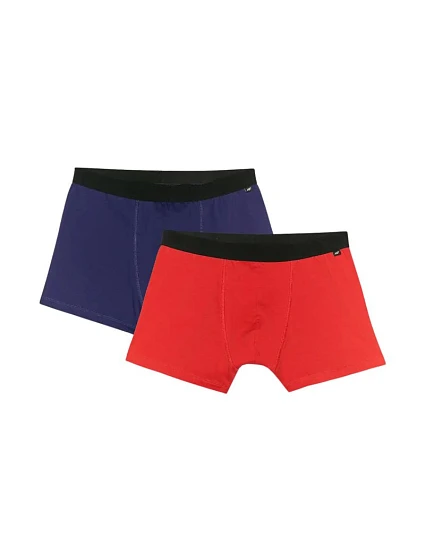 Pánské boxerky  2pack 2 WMM00UBXS model 21396540 - 4F