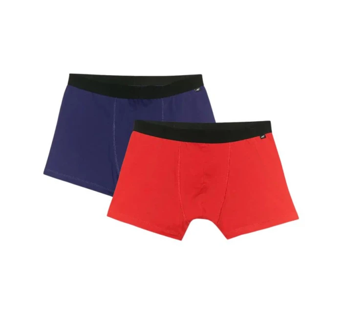 Pánské boxerky 4F M059 2-pack multicolor 2 4FWMM00UBXSM059 92S