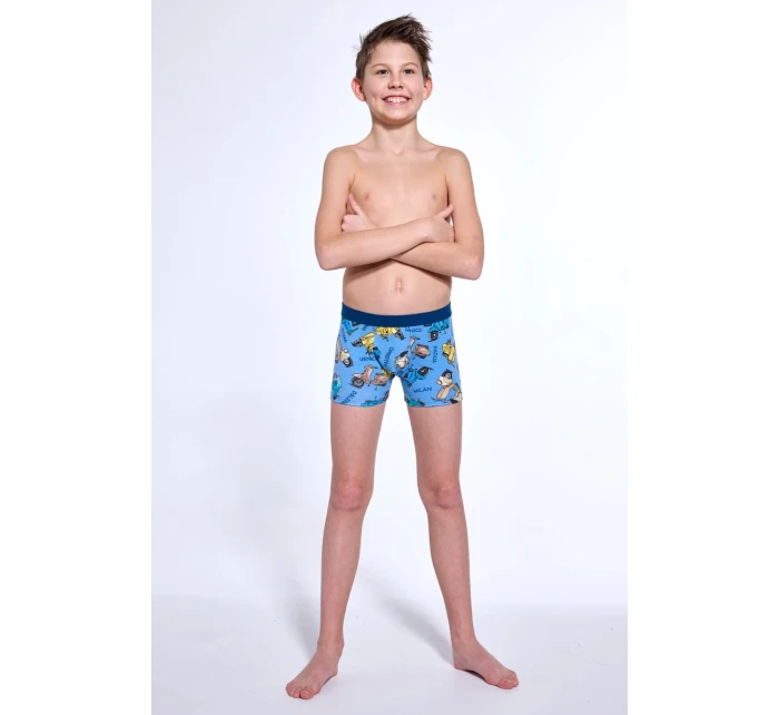 CHLAPECKÉ BOXERKY YOUNG 700 W/25