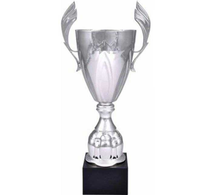 Stříbrný kovový pohár model 21827646