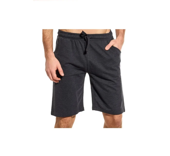 PÁNSKÉ ŠORTKY TS001