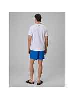 Pánské plážové šortky typu boardshorts s filtrem UPF50+ značky 4F 4FRSS26UBDSM258-36S Pánské plážové šortky typu boardshorts s filtrem UPF50+ značky 4F 4FRSS26UBDSM258-36S