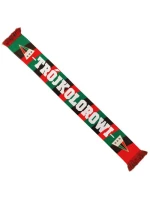 Šála GKS Tychy model 21240764 - Inny