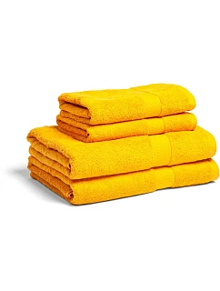 Lord Nelson Fairtrade Towel 30 Ručník pro hosty 85.0043 lion