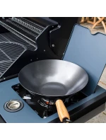 model 21810051 model 21810051