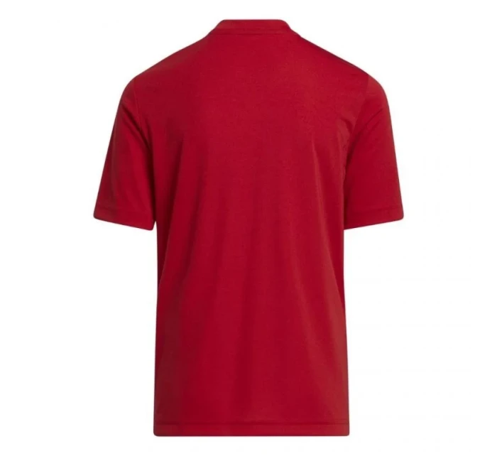 Dětský dres Entrada 22 Graphic Jersey Jr H58983 - Adidas