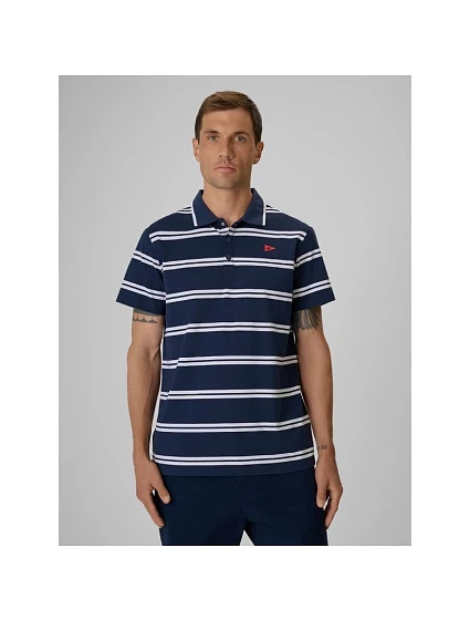 Pánské polo tričko s klasickým střihem 4F 4FRSS26TPTSM0898-31S