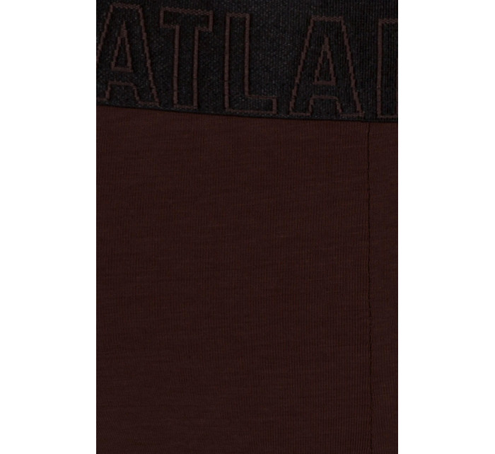 Pánské slipy model 19146162 Sport brown - Atlantic