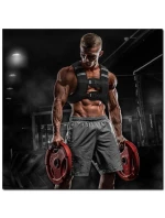 vesta model 21877136 - HMS