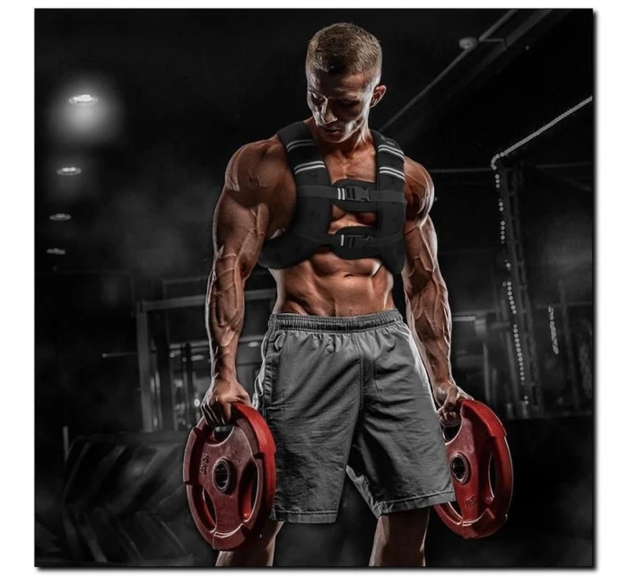 vesta model 21877136 - HMS