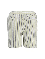 Jack&Jones pánské pruhované šortky JPSTJAIDEN COBA STRIPE JOG SHORTS REG SN 12274413 TEA/STRIPES