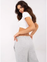 Spodnie DHJ SP model 20863027 szary - FPrice