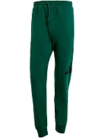 Kalhoty adidas Essentials Big Logo French Terry M JE8971