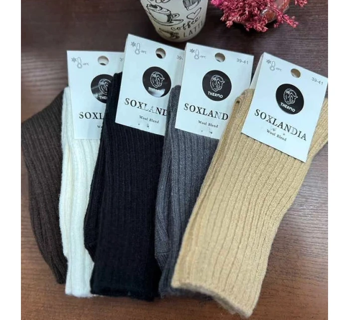 dámské ponožky 3542 model 21472188 - WiK