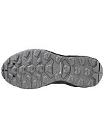 Běžecká obuv Mizuno Wave Daichi 7 GTX W J1GK225621