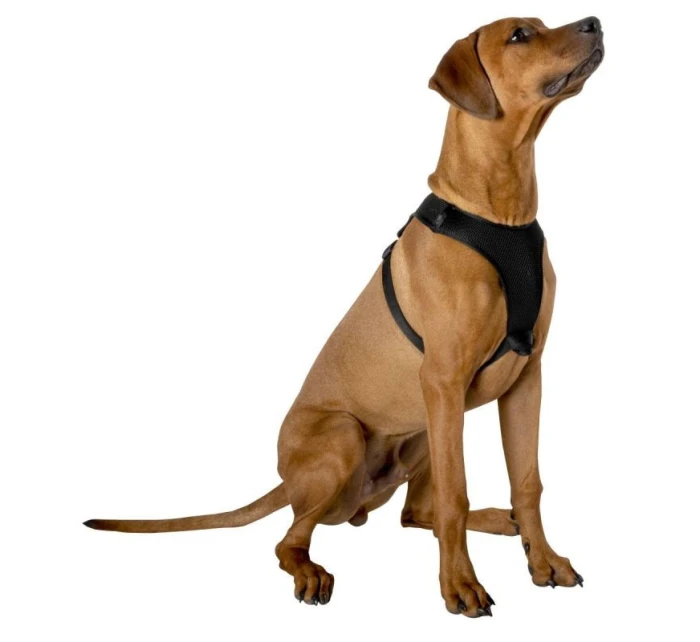 POSTROJ PRO PSY S REFLEXNÍ PÁSKOU 41 - 67 CM VELKÝ