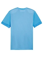 Puma teamGoal Matchday Jersey M 705747 18 pánské