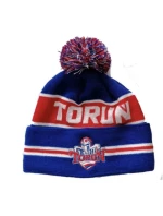 Zimní čepice '24 model 21837783 - Schwinn