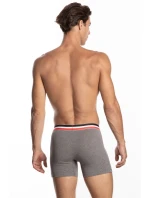 SZORTY MĘSKIE model 20720877 2pack - Lama