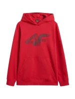Mikina 4F M 4FWMM00TSWSM1766 062S pánské