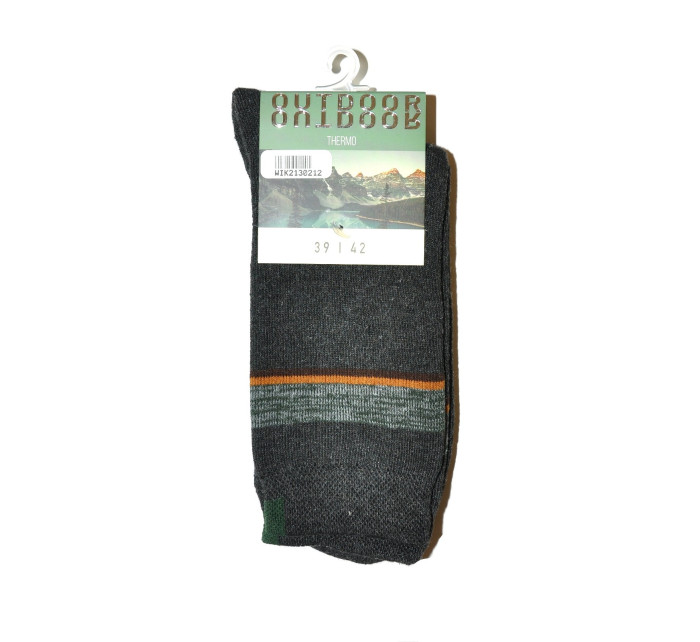 Pánské ponožky model 17679150 Outdoor Thermo - WiK
