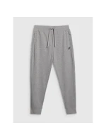 Pánské tepláky typu jogger 4F 4FRMM00TTROM1624-27M Pánské tepláky typu jogger 4F 4FRMM00TTROM1624-27M