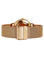 Dámské hodinky Bisset BSBF33-4 Dámské hodinky Bisset BSBF33-4