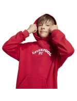 Liverpool FC Hoody Junior mikina model 21420612 - ADIDAS Liverpool FC Hoody Junior mikina model 21420612 - ADIDAS