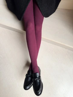 model 21768883 punčocháče 60 den 24 - Veneziana