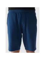 Pánské teplákové šortky 4F Pánské teplákové šortky 4F