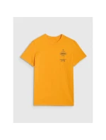 Pánské tričko s potiskem model 21436963 - 4F