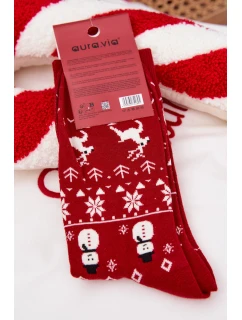 Pánské vánoční ponožky v červené model 21786686 - Aura.via