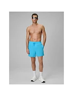 Pánské plážové šortky boardshorts model 22220072 - 4F Pánské plážové šortky boardshorts model 22220072 - 4F